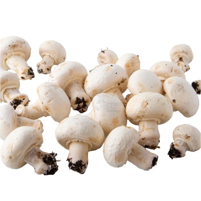 Шампиньоны свежие 500 г - купить в Сардаяле